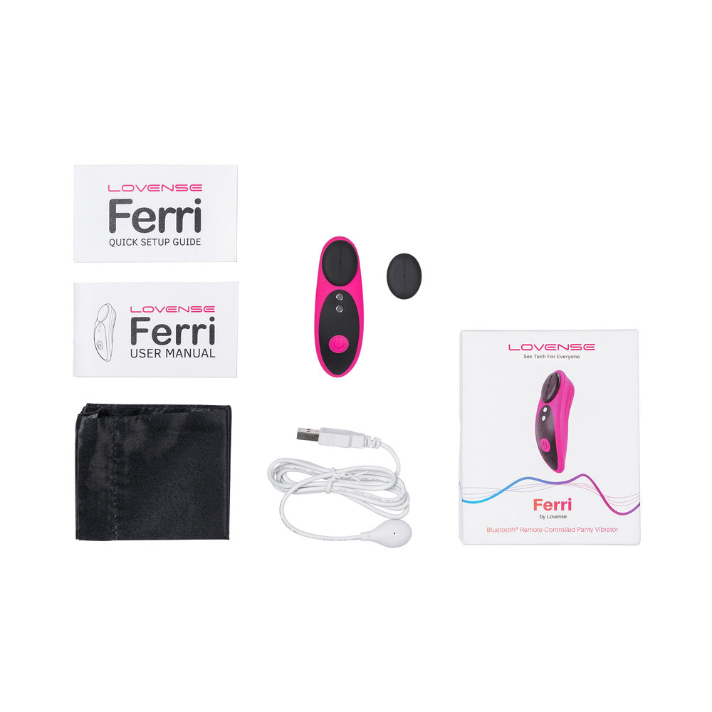 Lovense Ferri setup items: vibrator, user manual, cable, and black pouch